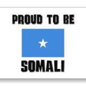 Meet your Posher, Hamdi